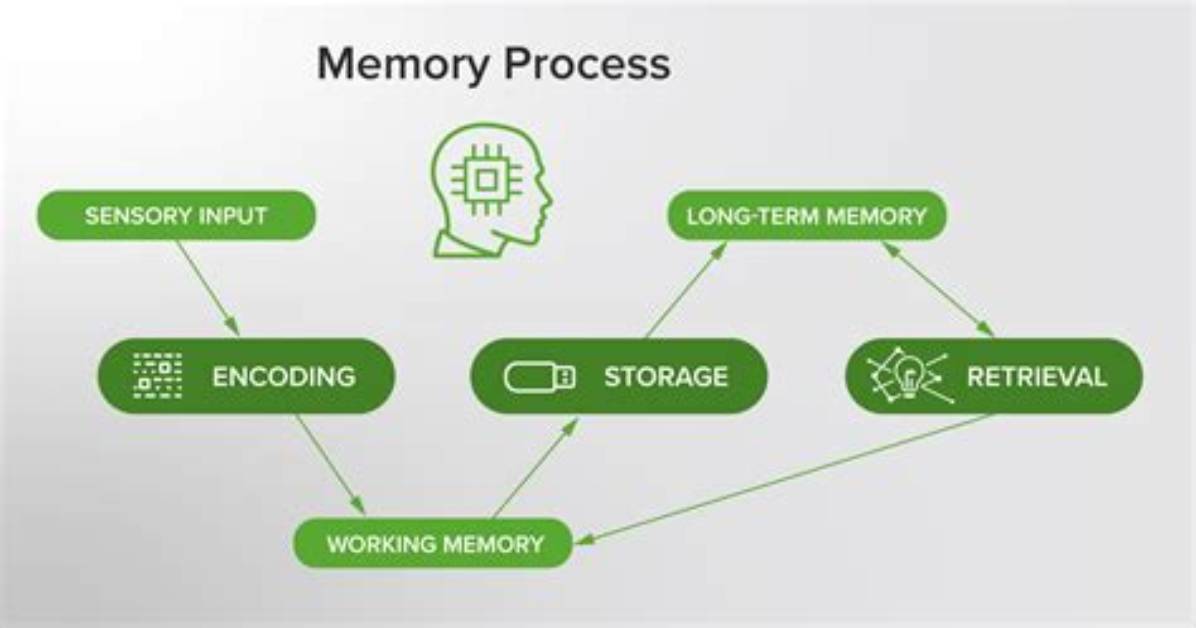 How Do I See Process Memory Utilization in Linux?
