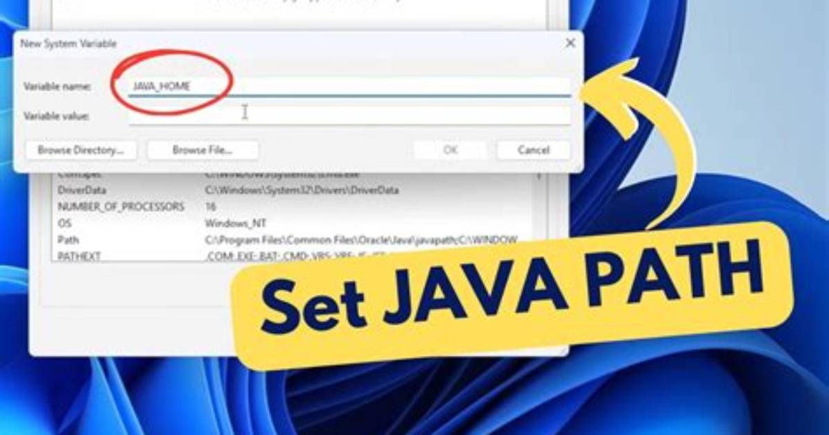 How Do I Set the Home Path in Linux?