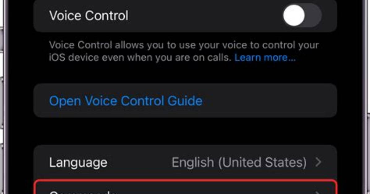 How Do I Set up Voice Commands?