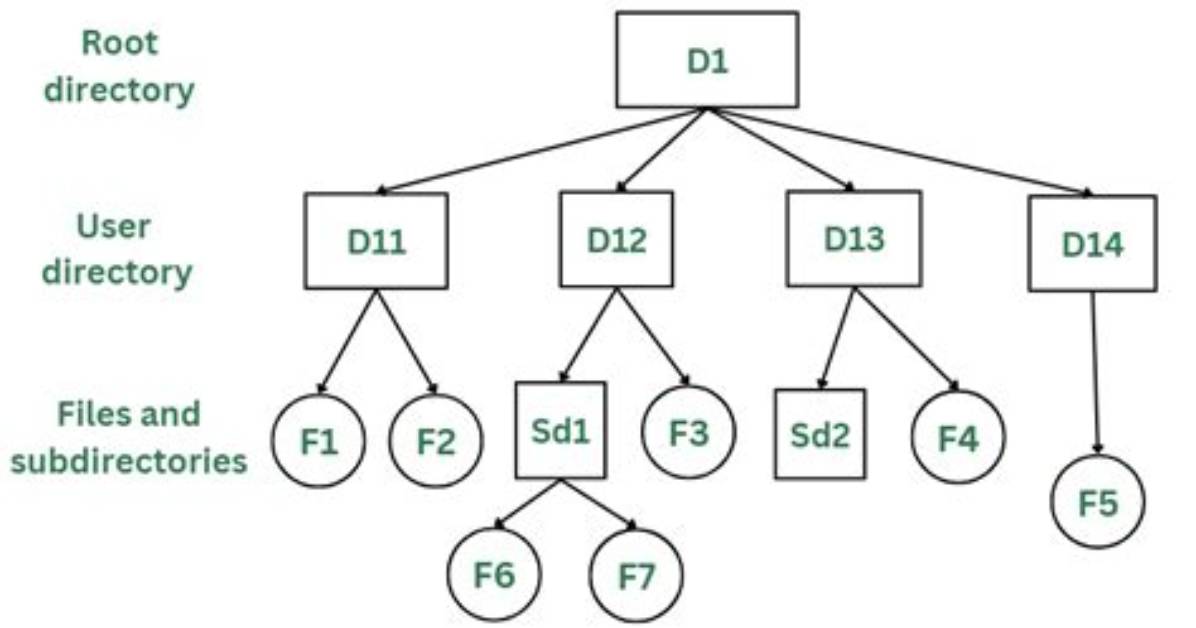How Do I Show Directory Trees in Ubuntu?