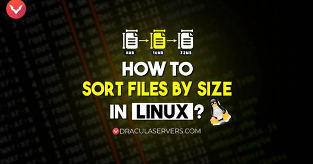 How Do I Sort by Size in Unix?