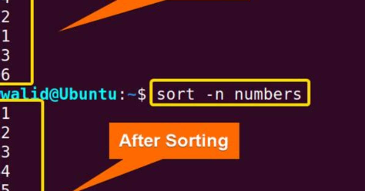 How Do I Sort Numbers in Linux?
