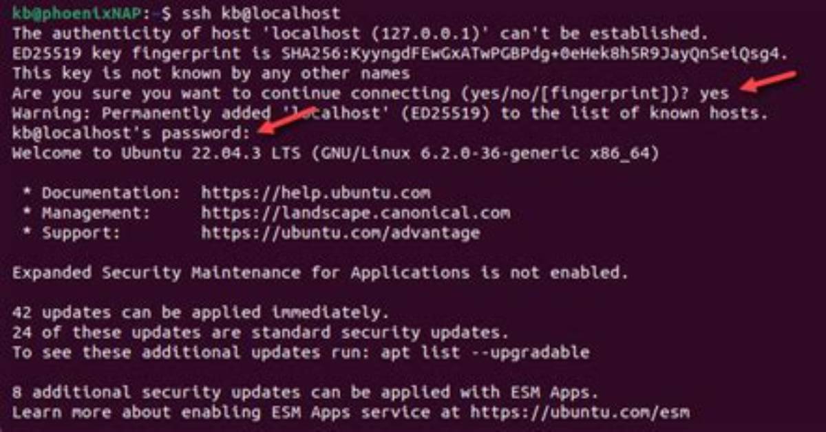 How Do I Ssh into a Server in Ubuntu Terminal?