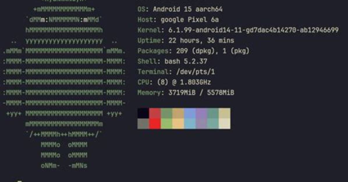 How Do I Ssh into My Android Phone?
