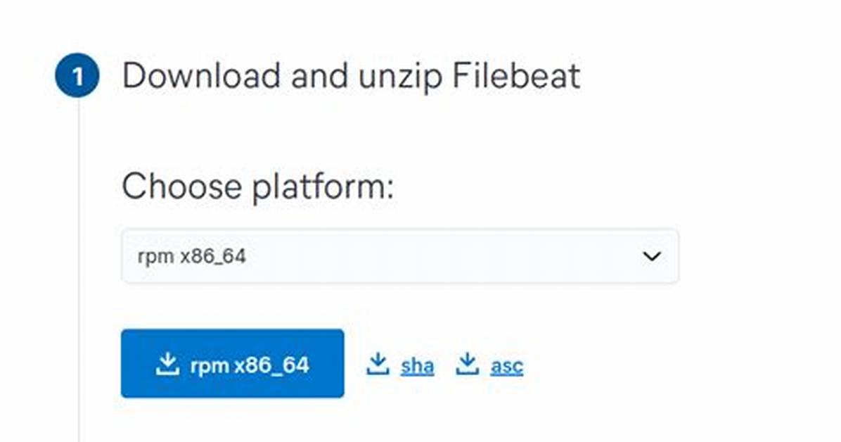 How Do I Start Filebeat Service