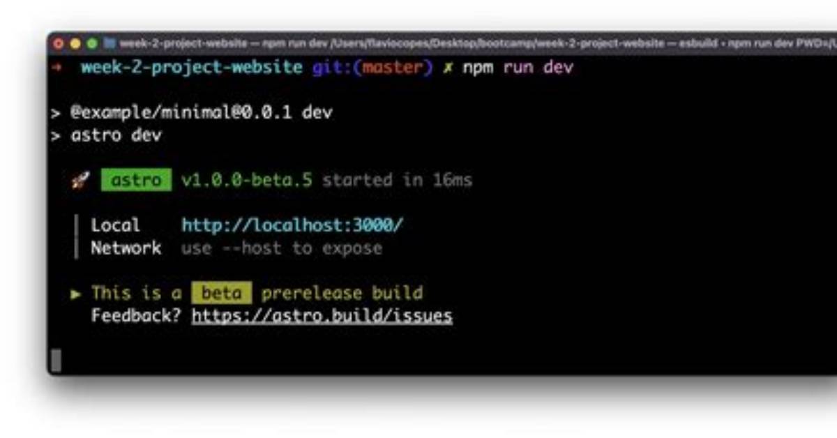 How Do I Start Npm?