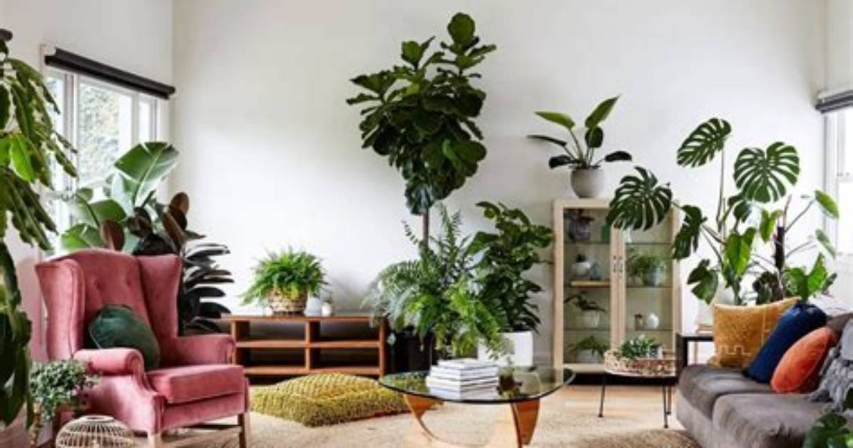 How Do I Style My Plants