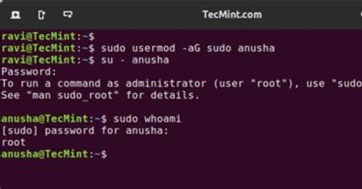 How Do I Sudo as Administrator?