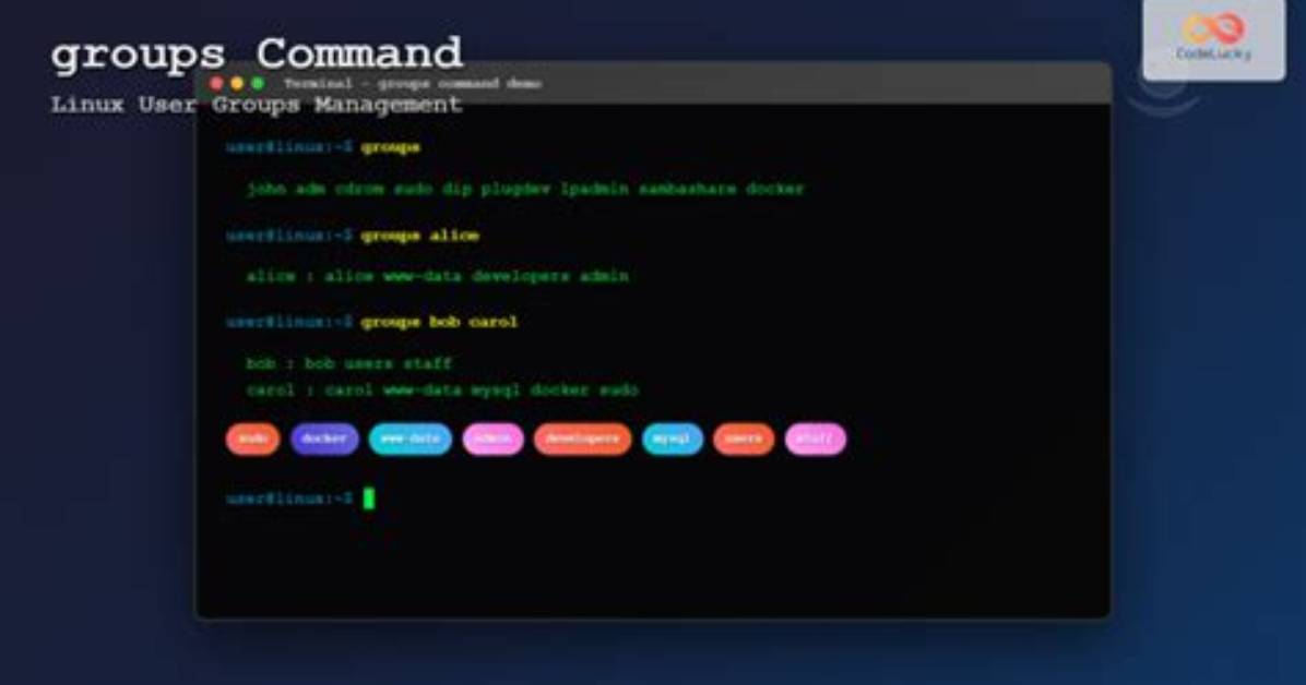 How Do I Switch Groups in Linux?
