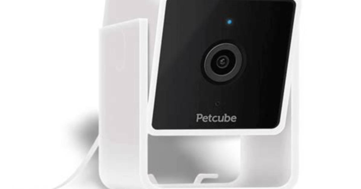 How Do I Turn off Petcube Camera?