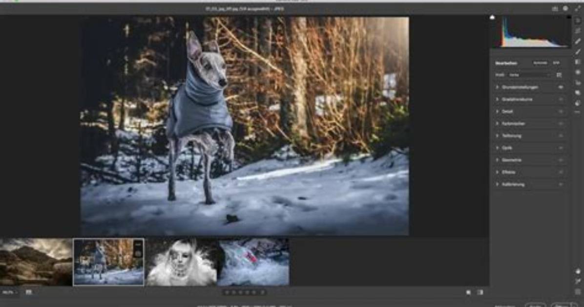 How Do I Update Adobe Camera Raw in Photoshop Cs6?
