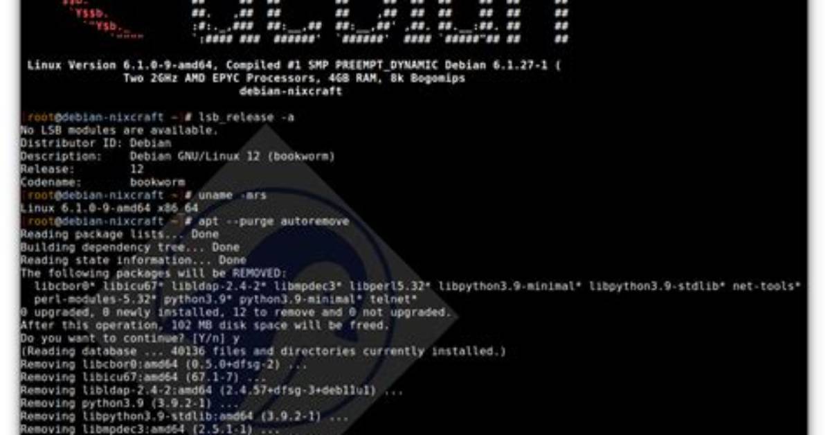 How Do I Update Plex on Debian?