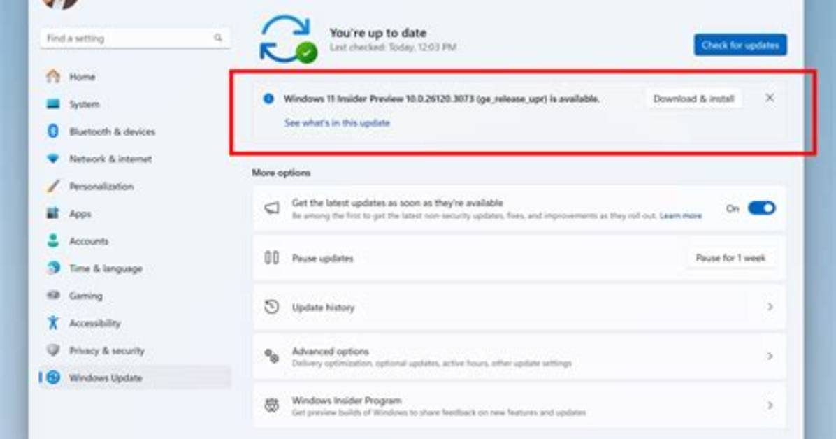 How Do I Update Windows Insider?