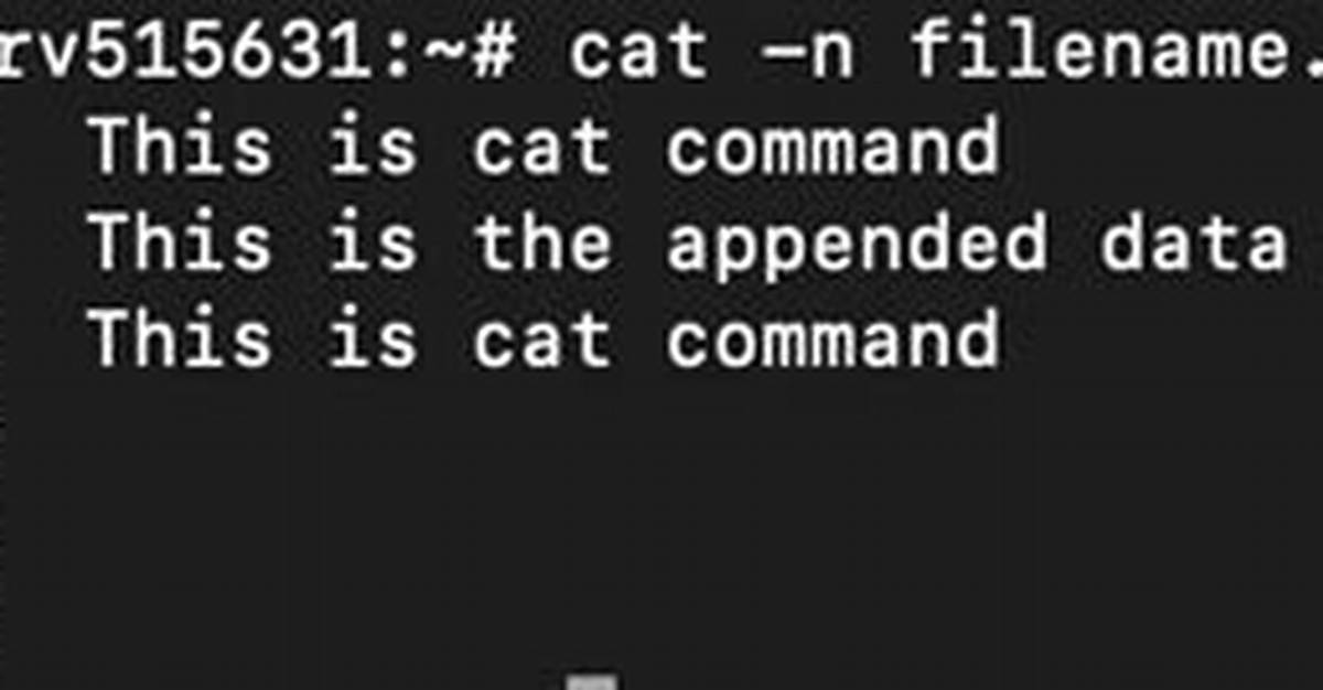 How Do I Use Cat Command in Linux?