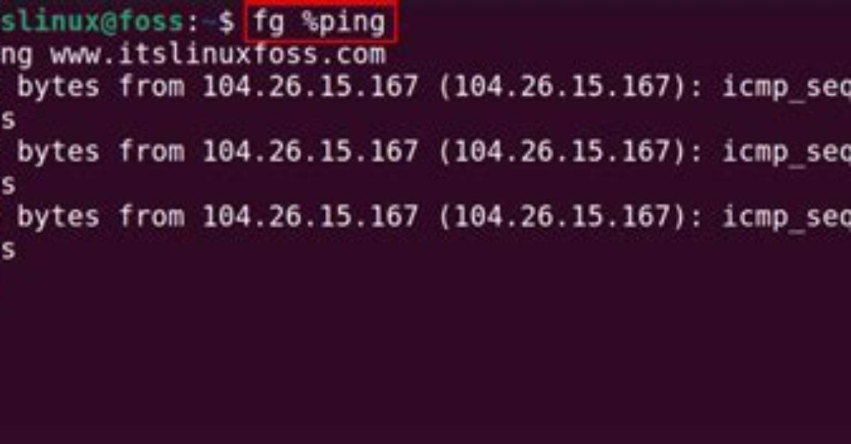 How Do I Use Fg in Linux?