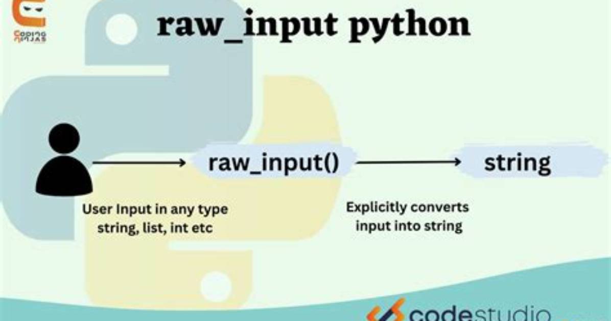 How Do I Use Raw_Input in Python 3