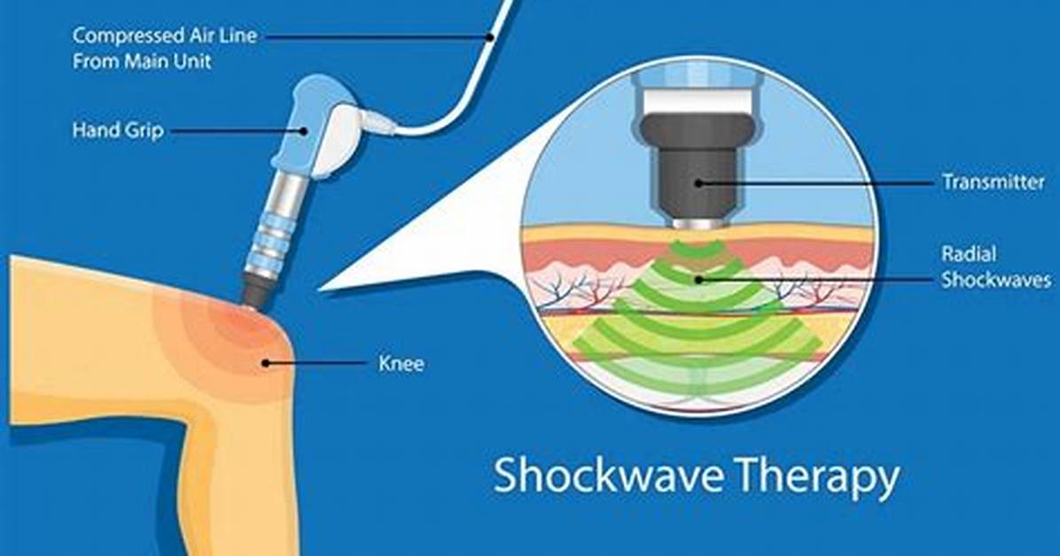 How Do I Use Shockwave