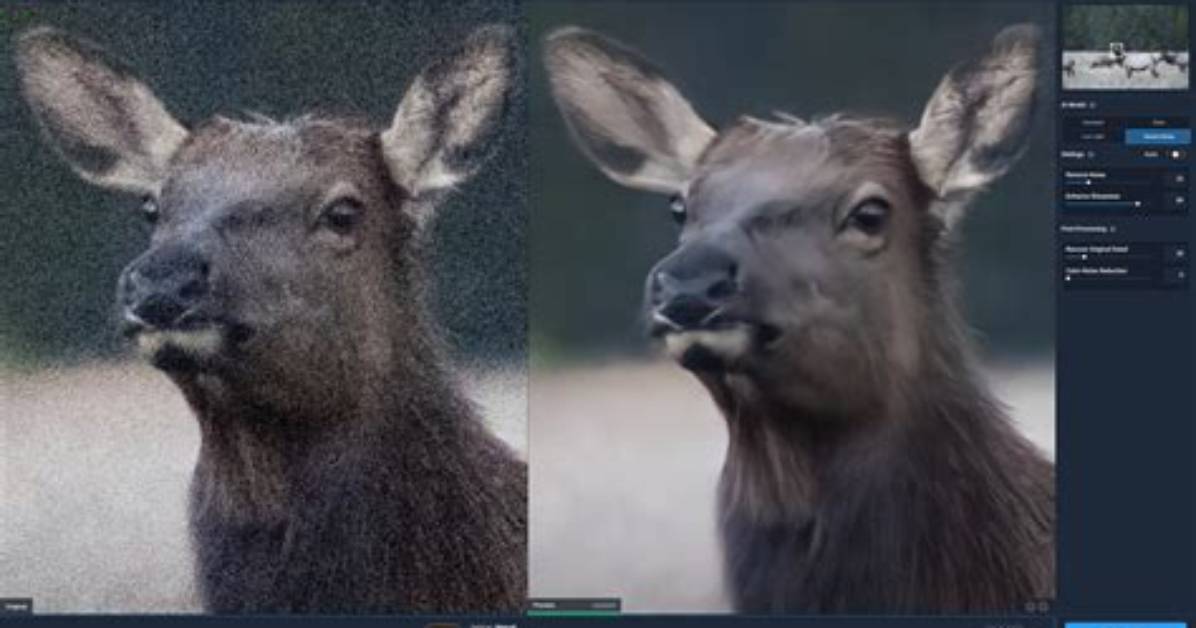 How Do I Use Topaz Denoise in Lightroom?