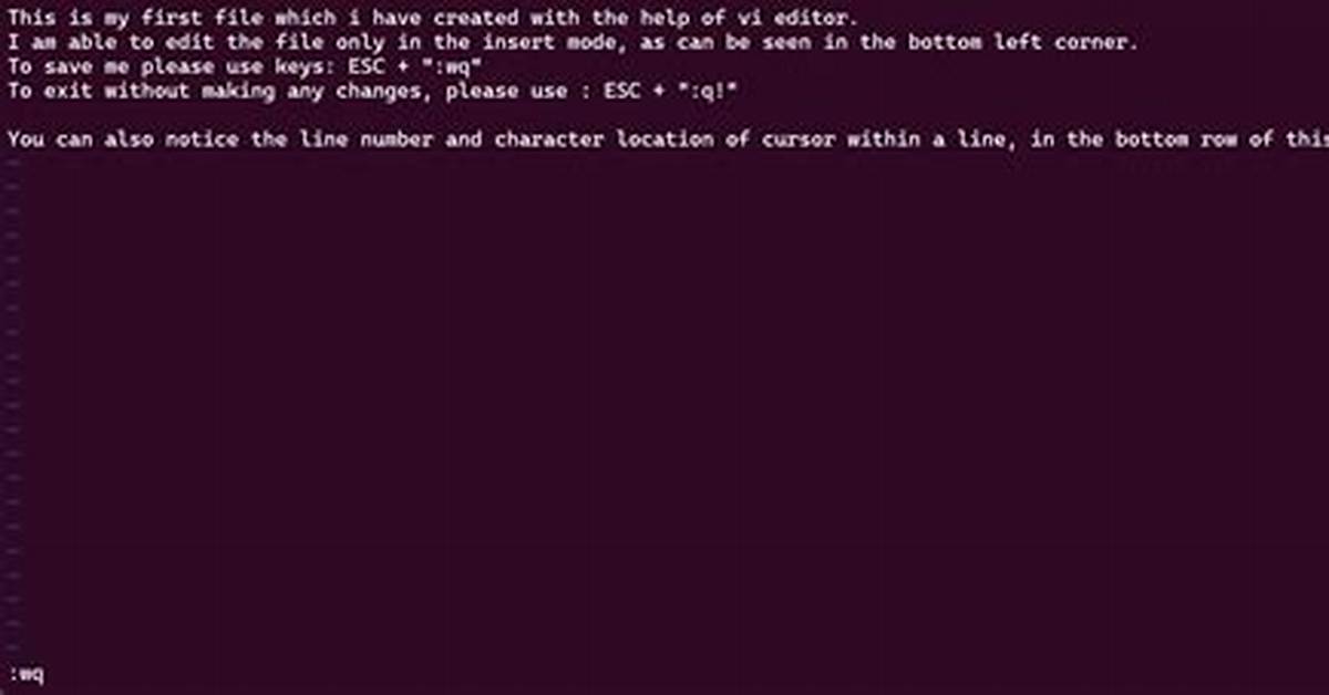 How Do I Use Vi in Linux Terminal?