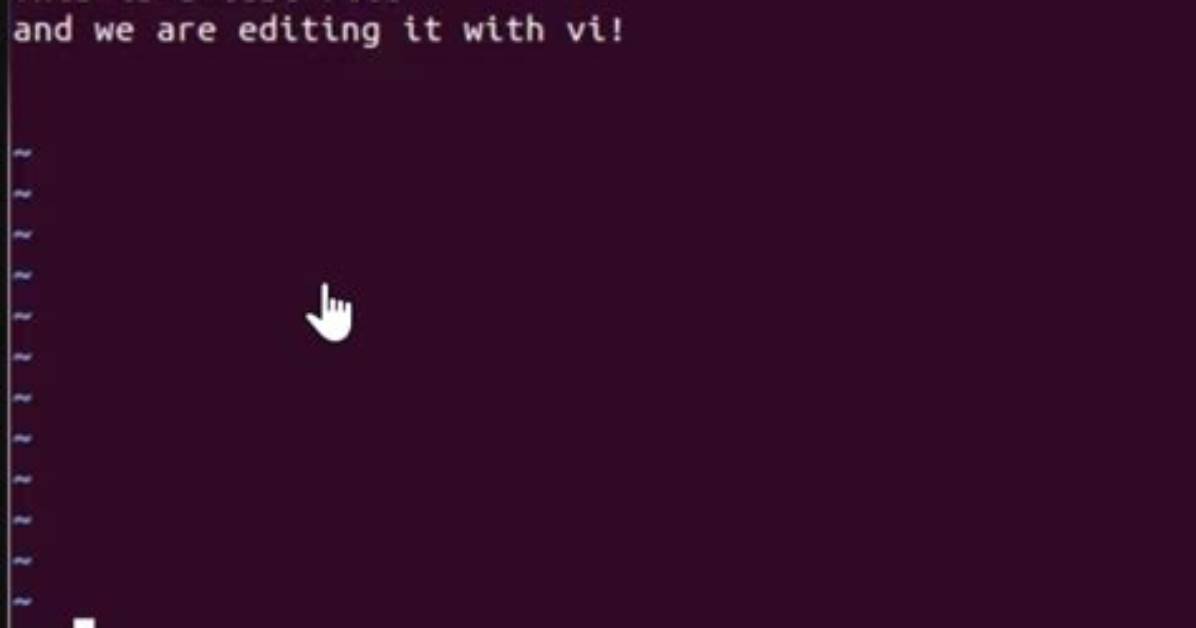 How Do I Use Vi Text Editor in Linux?
