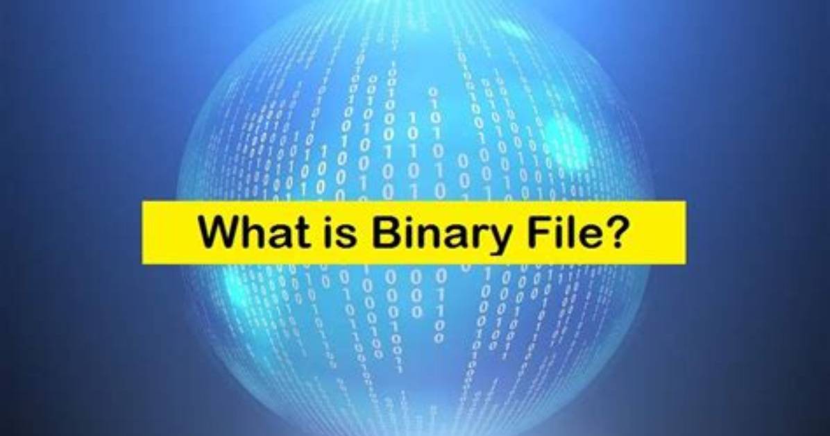How Do I View a Binary File in Linux?