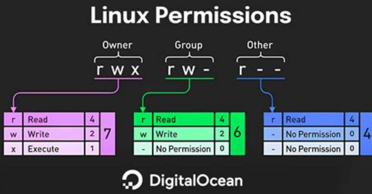 How Do I View Permissions in Linux?