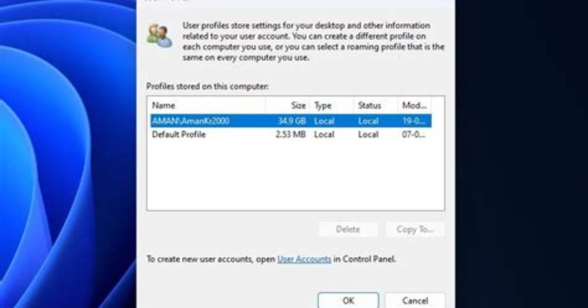How Do I View Profiles in Windows 10?