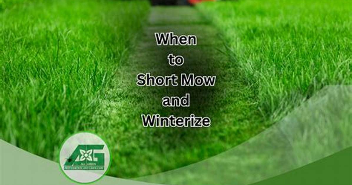 How Do I Winterize My Lawn