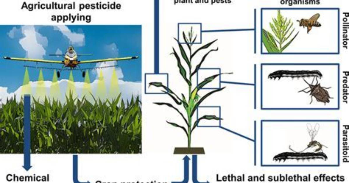 How Do Insecticides Affect Insects?