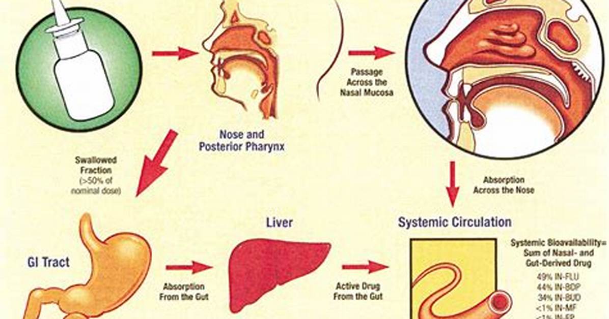 How Do Intranasal Steroids Work?