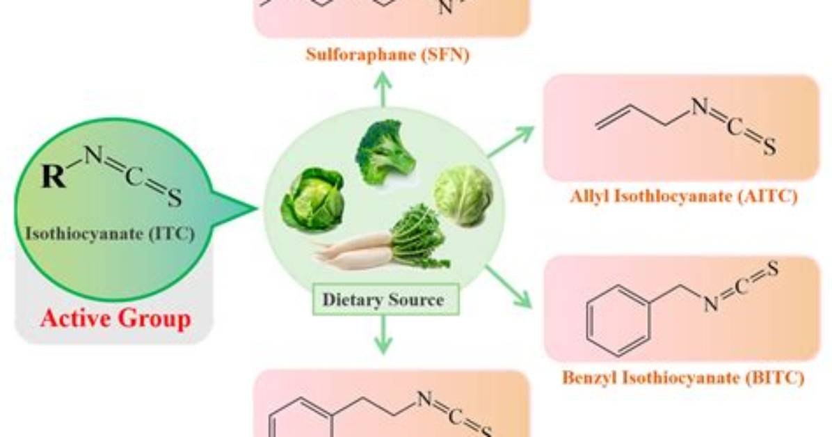 How Do Isothiocyanates Prevent Cancer?