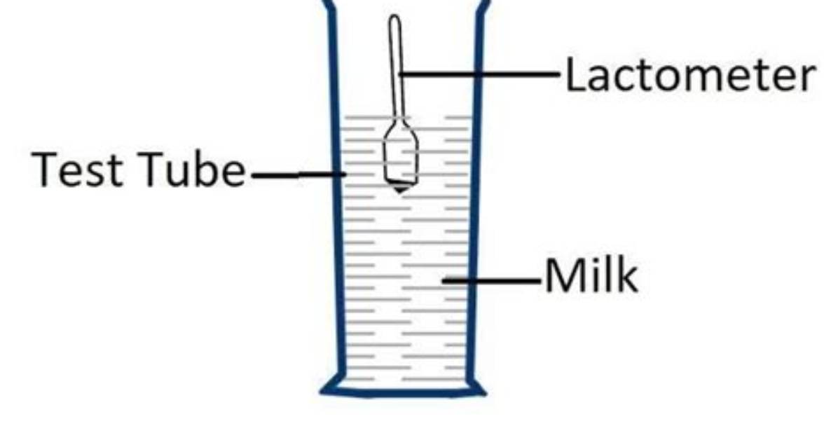 How Do Lactometer Works?