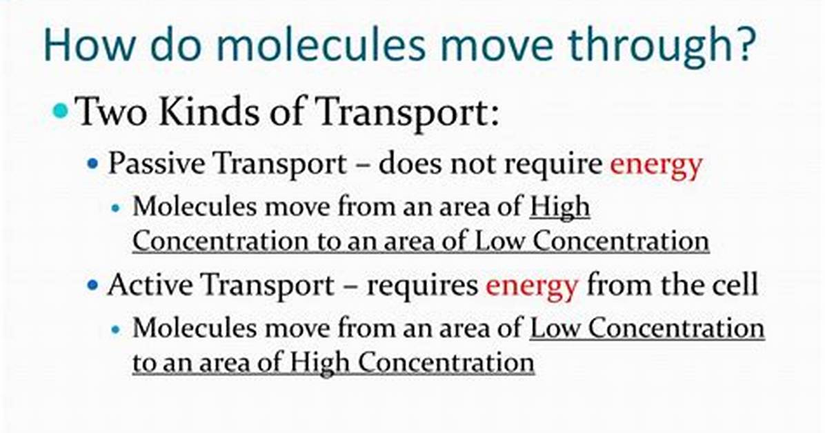 How Do Molecules Move