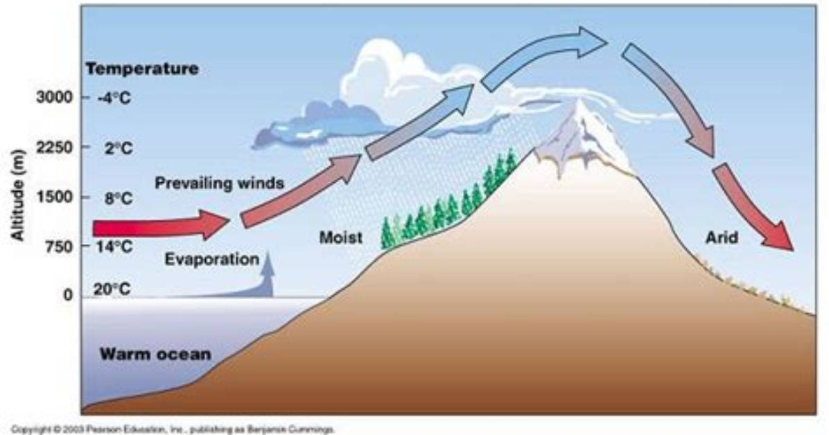 How Do Mountains Affect Precipitation