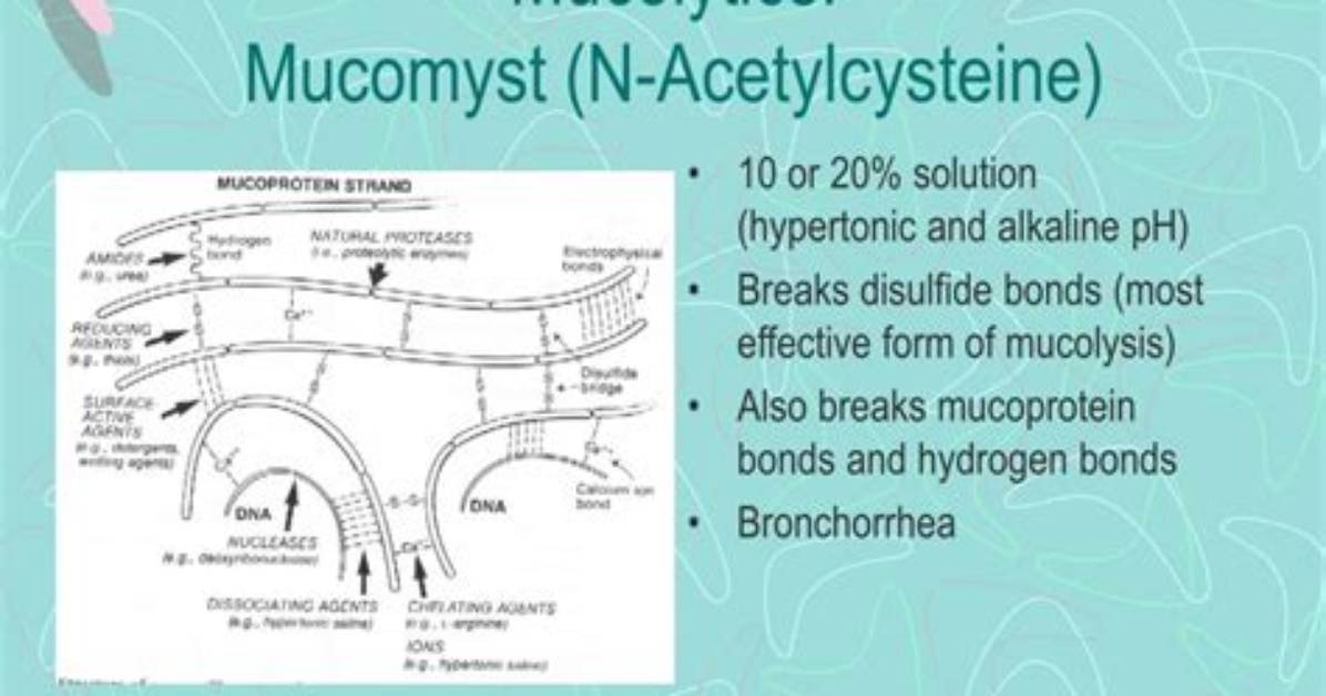 How Do Mucolytics Work