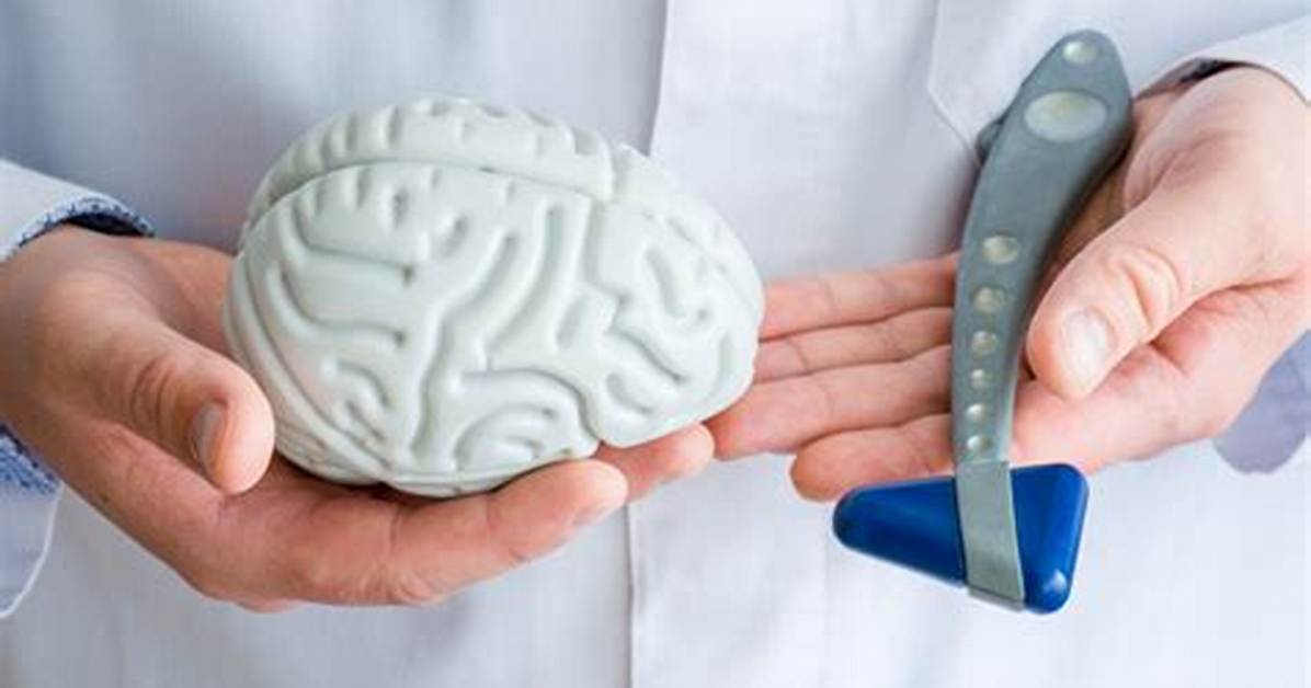 How Do Neuroscientists Study the Brain?