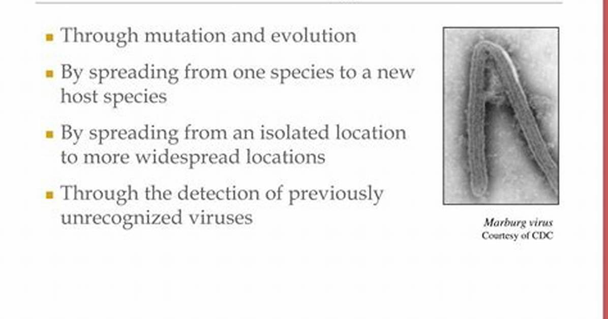 How Do New Viruses Emerge