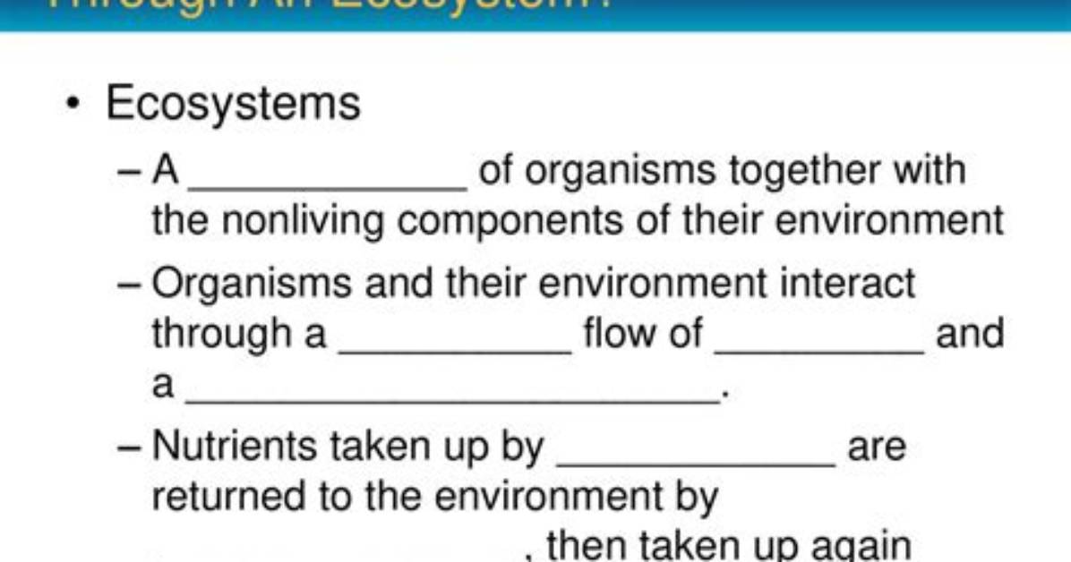 How Do Nutrients Move Through an Ecosystem