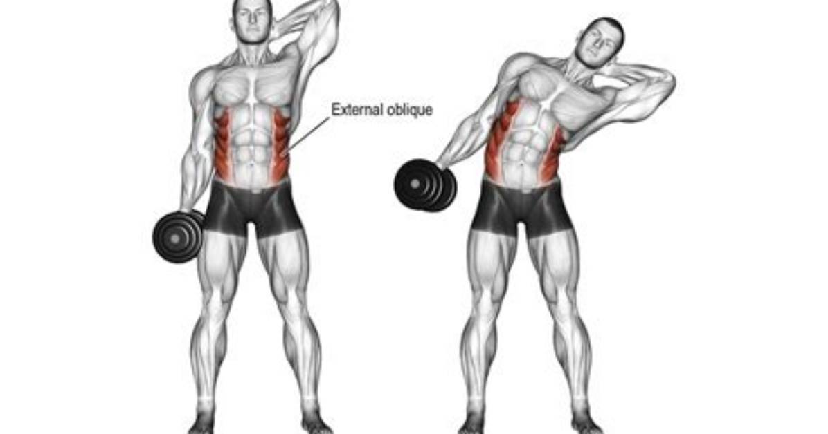 How Do Obliques Work?