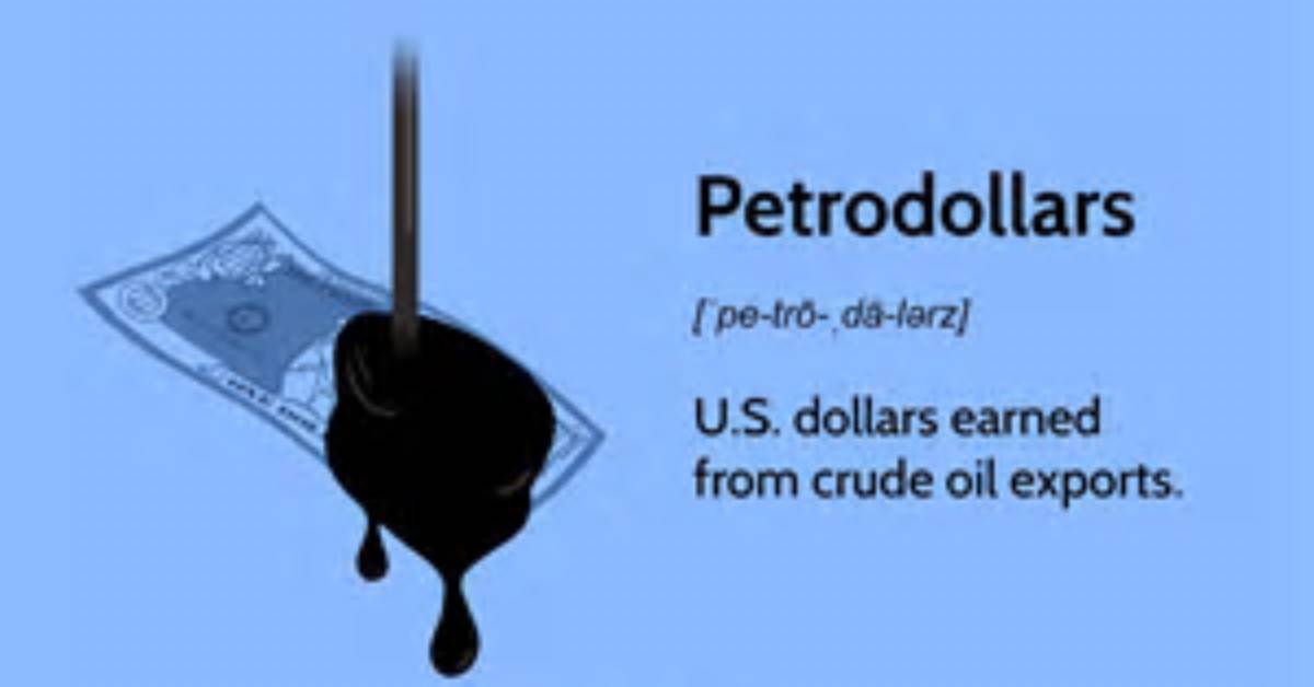 How Do Petrodollars Work?