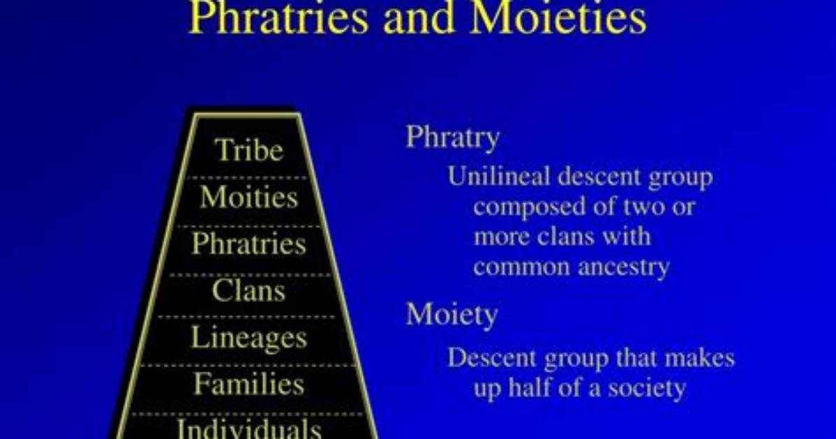 How Do Phratries Differ from Moieties?