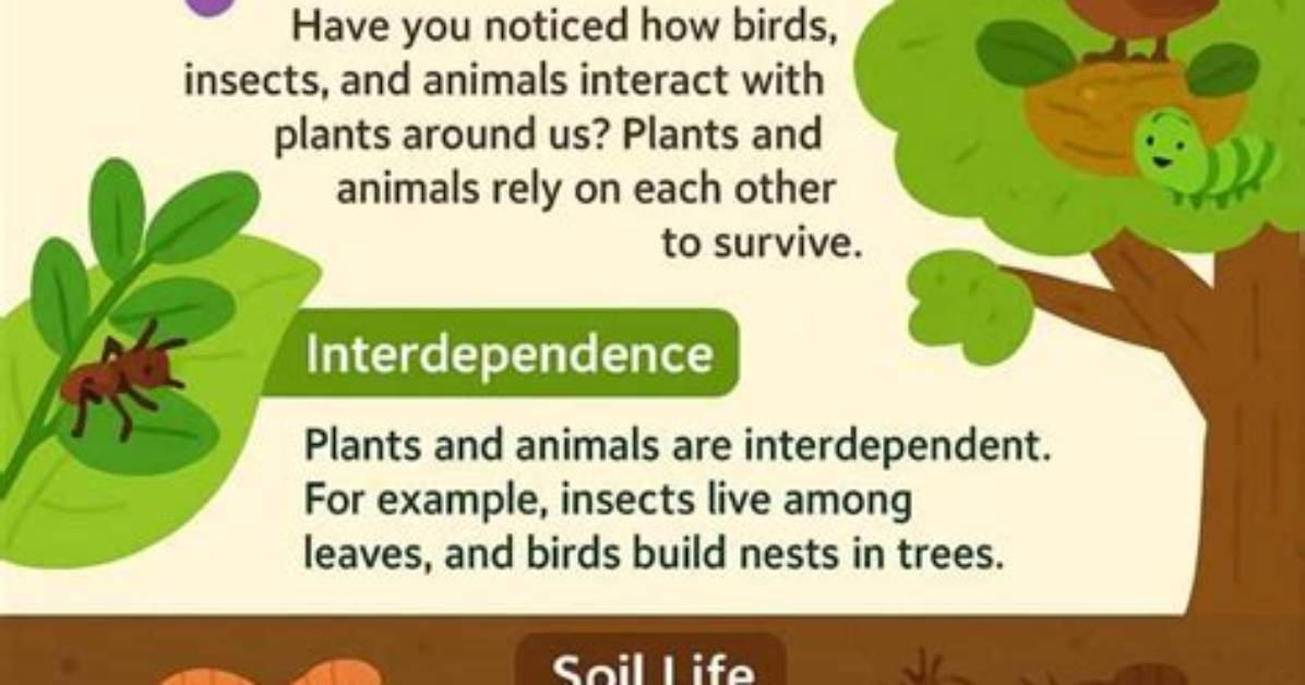 How Do Plants and Animals Interact with Each Other