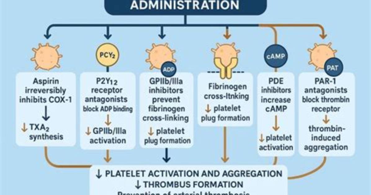 How Do Platelet Inhibitors Work