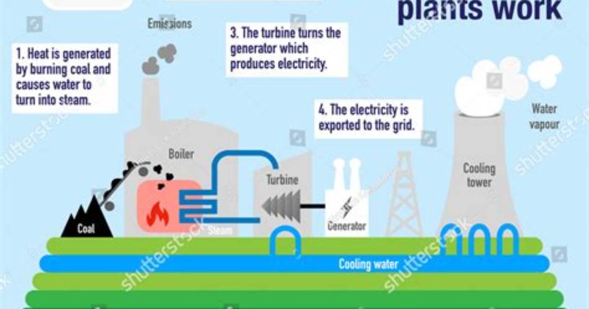 How Do Power Plants Work?