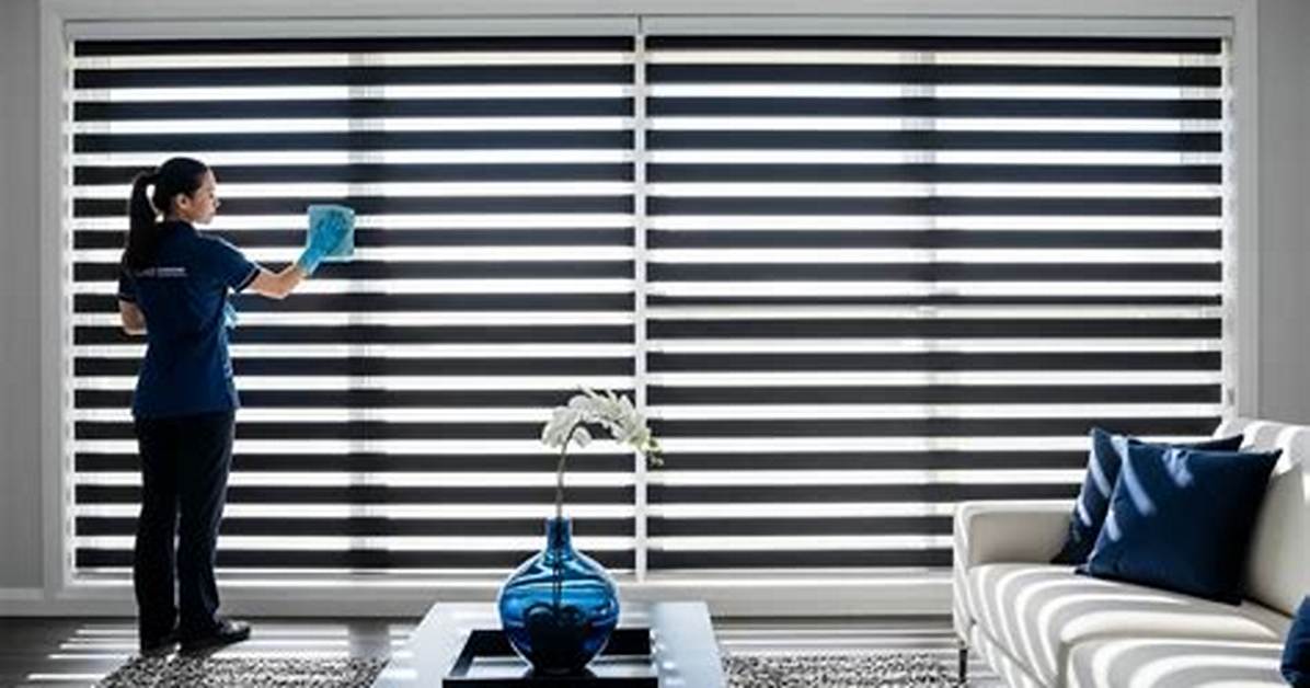 How Do Professionals Clean Blinds