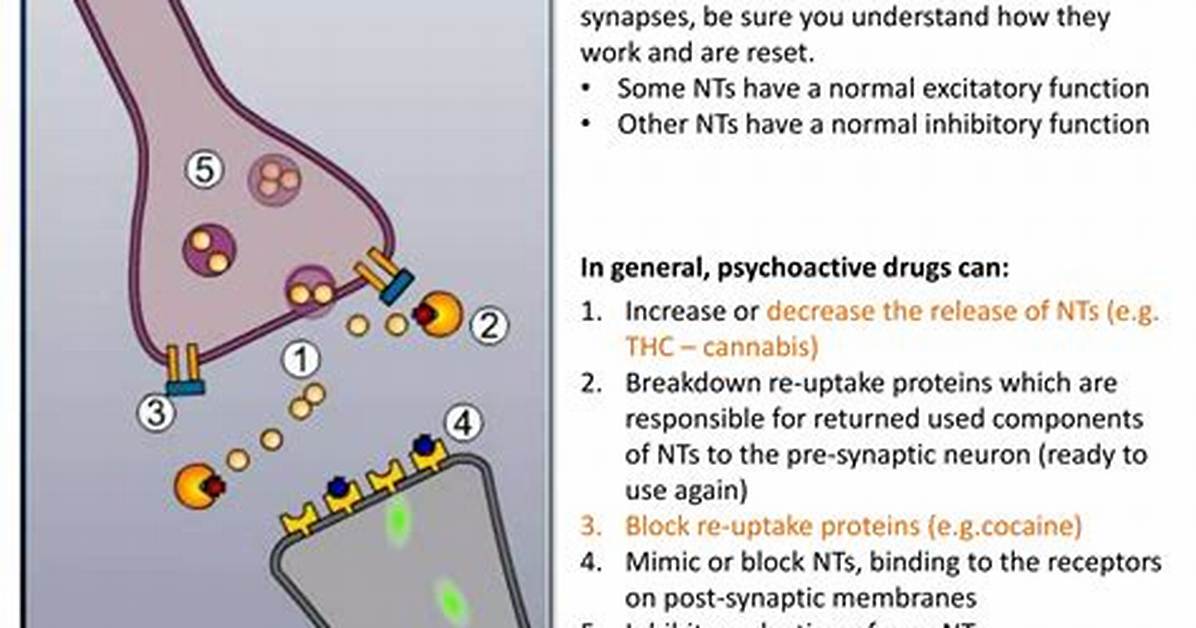 How Do Psychoactive Drugs Work?