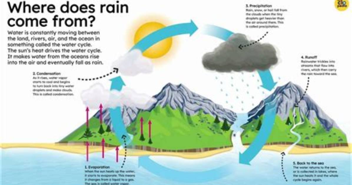 How Do Rain Come - Lisbd-Net. Com