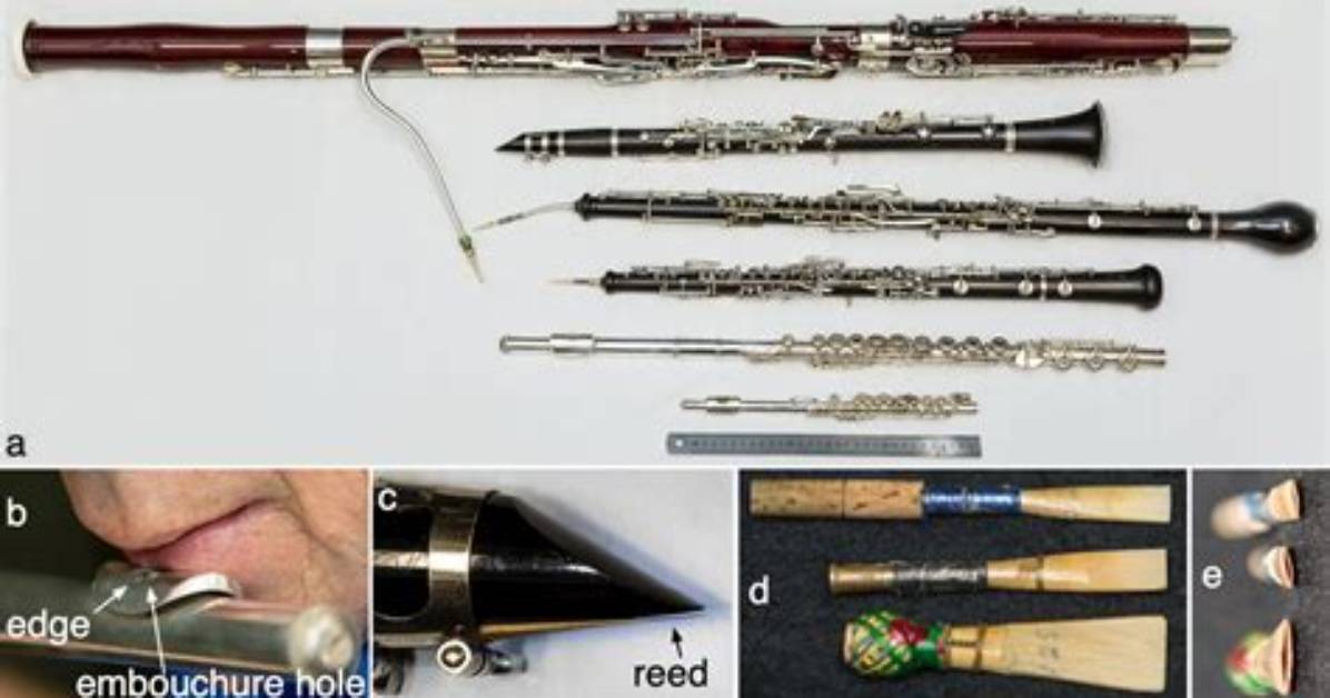 How Do Reed Instruments Work