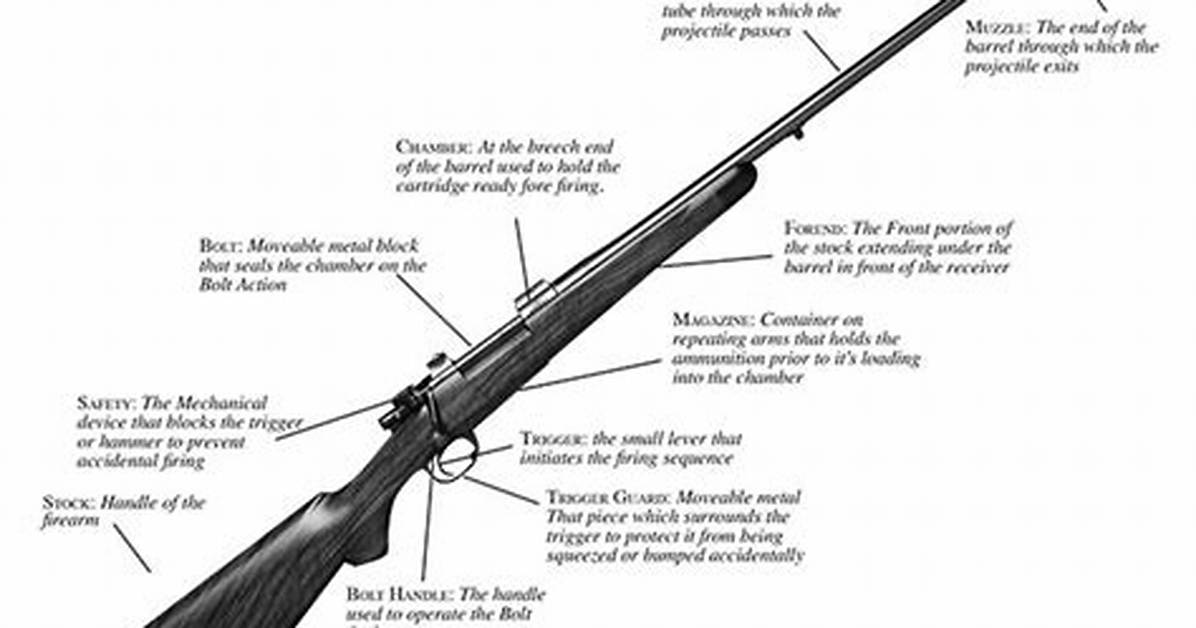 How Do Rifles Work?