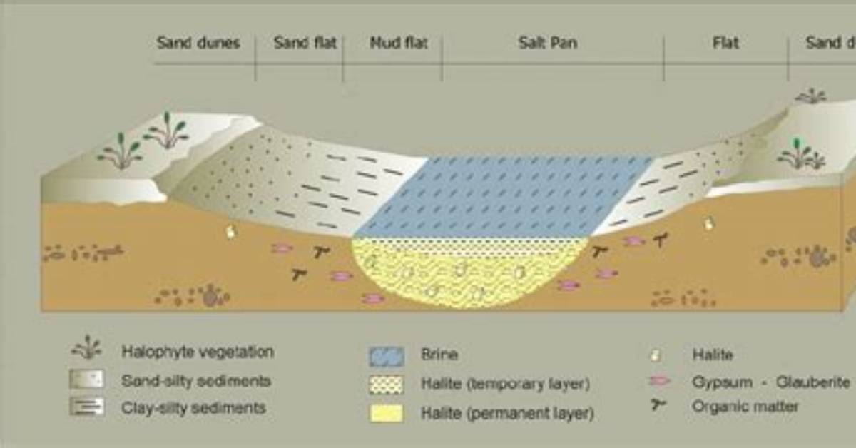 How Do Salt Pans Form?